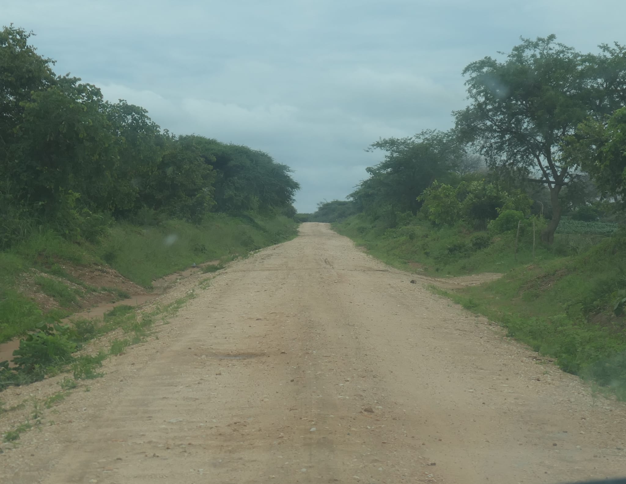 Galería